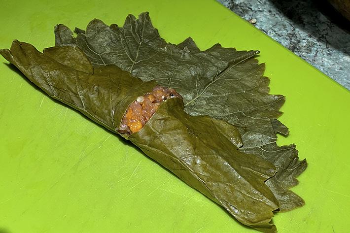 dolma paso 3.2